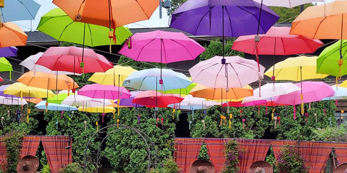 Adelines House of Cool canopy of color umbrella garden