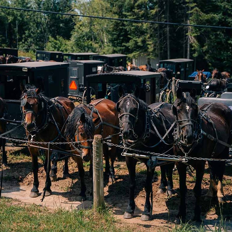 Getaway to Wisconsin Amish Country