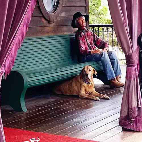 Pet Friendly Cabin Rental in Wisconsin