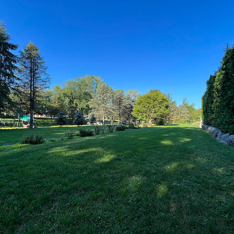 Pet friendly cabin rental in Wisconsin